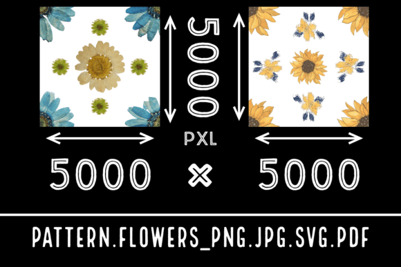 Flowers Graphics for Modern Web Design