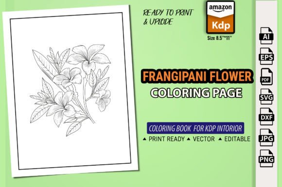Frangipani Flowers Coloring Page Books: A Graphic Design Asset for Local Branding
