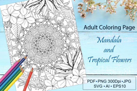 Luxury Mandala Graphics for Creative Design