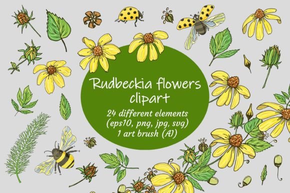 Rudbeckia Flowers Graphics for Crafts